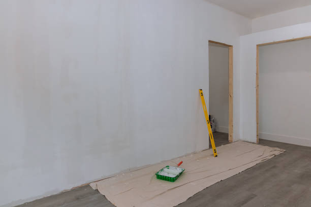 Professional Dry wall and painting in Willard, MO